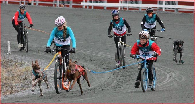Barn fra ca 11 år kjører her konkurranse med sparkesykkel og hund. Bildet er fra Drammen Travbane. Morsom konkurranse hvor alle er velkomne.